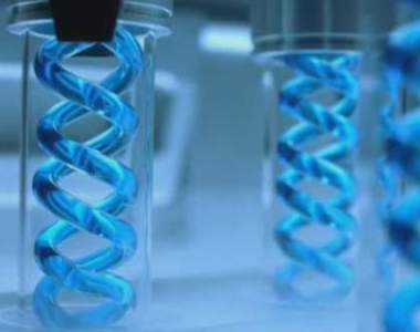 惡靈古堡《T病毒香水》噴了就會變殭屍嗎ww