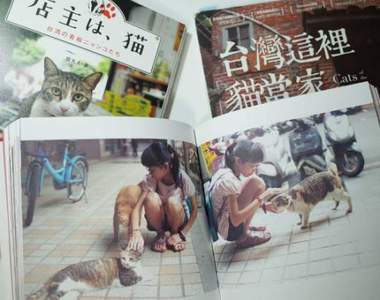 日本貓奴瘋狂的《台灣店貓寫真集》靠喵星人宣傳觀光也不錯？