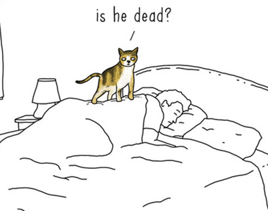 《如果動物會說話》或許貓咪踩在你臉上只是想確定你是不是掛了