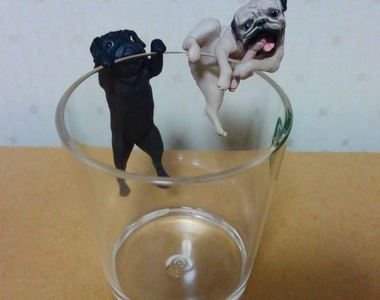 《脫力巴哥杯緣子轉蛋》動物中的醜萌代表累累爬上你的杯子