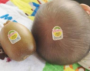 可愛到想咬一口的《嬰兒水果》大流行 小北鼻的照片原來還可以這樣拍♪