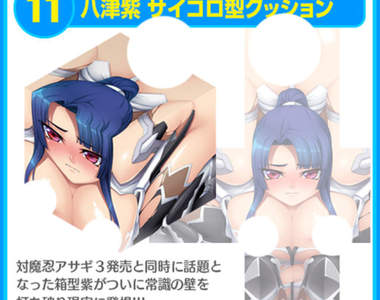 對魔忍八津紫《18禁箱化抱枕》這應該算是最奇葩的屬性……