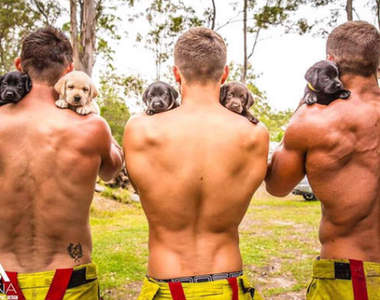 《猛男消防隊員＆可愛狗狗》可以一起溫暖我的心嗎♥