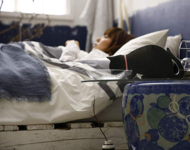 《毛小孩加濕器》貓貓狗狗喝水同時也幫忙濕潤乾燥的冷氣房♥