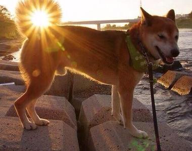 日常巧合瞬間《神之打光》奇蹟般的打光神到不行