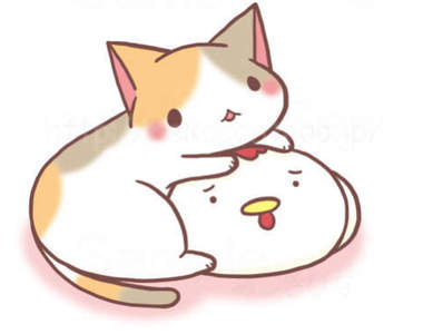 《跨越種族的母愛》小喵星人雞舍出生 母雞一起當蛋孵……