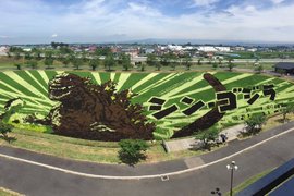 年年精彩《稻田彩繪》田舍館村 2016年的田園畫依舊精采 年年精彩《稻田彩繪》田舍館村 2016年的田園畫依舊精采