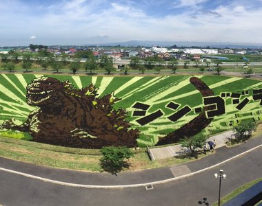 年年精彩《稻田彩繪》田舍館村 2016年的田園畫依舊精采
