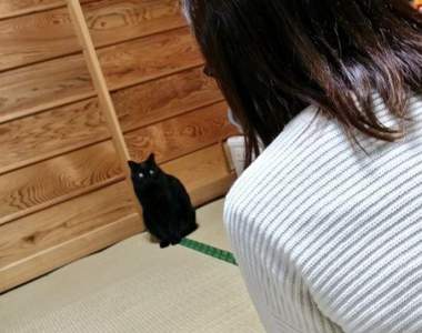 《過年小辛酸》太久沒回去就被老家的狗狗貓貓給遺忘了...
