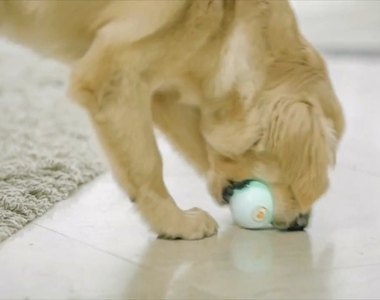 《狗狗陪伴機器球》不在家的時候就讓KOKOMI球陪你玩吧～