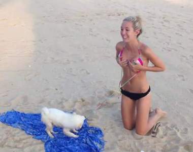 《狗狗海邊瘋癲玩耍集》玩到渾然忘我的境界(｡`ᴥ´)