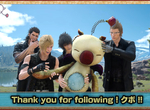 《Final Fantasy 15》莫古利終於登場!但這待遇也太可憐了吧... 《Final Fantasy 15》莫古利終於登場!但這待遇也太可憐了吧...