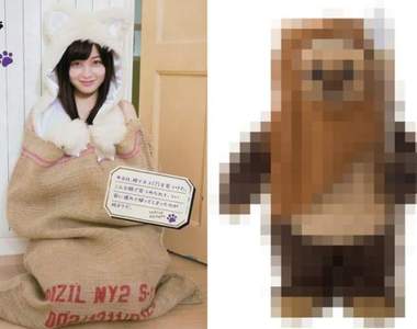 超萌❤跪求認養《橋本環奈流浪貓》粉絲表示咦怎麼有點像這個…