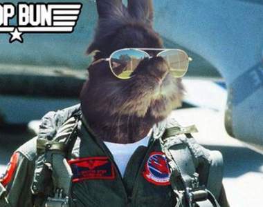 《最硬漢的墨鏡兔兔》連PS高手都會屈服於這位毛茸茸大哥的男子氣慨