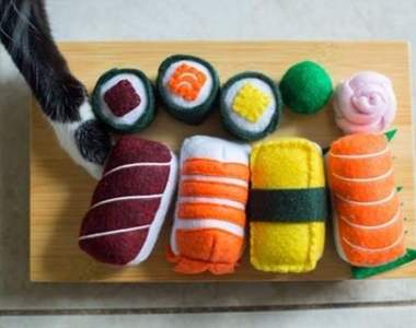 專屬貓咪的可愛套餐《壽司貓咪玩具》只有主子可以玩食物w