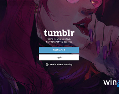 老司機淚崩刪帳號《Tumblr》宣布將全面禁止色情內容，迎接清新健康正能量大純潔時代（？