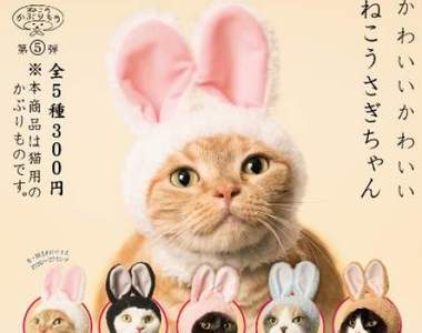 逗趣轉蛋《貓咪兔耳頭套》好好的貓咪不當跑去當萌兔啦♥