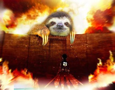 《樹懶PS正夯》那一天 人類發現樹懶竟然這麼適合PS