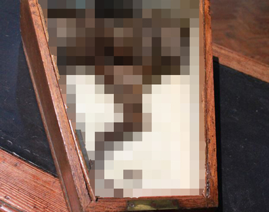 考古疑雲《只有頭髮的棺材》那其他的部分到哪去了......