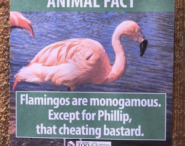 動物園《假介紹文讓遊客錯亂》自己亂加的設定不要寫上去啦XD