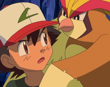 精靈寶可夢《被小智遺棄17年的比鵰》這樣把小夥伴放置PLAY對嗎？