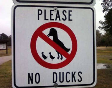 《絕妙的設計》博君一笑才是最大的目的