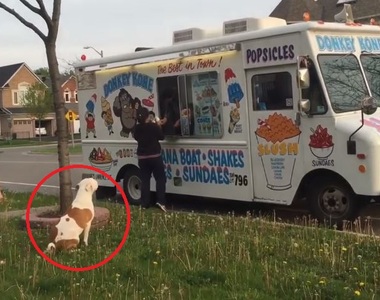 《會排隊買冰淇淋的狗》叭噗叭噗～賀甲欸叭噗