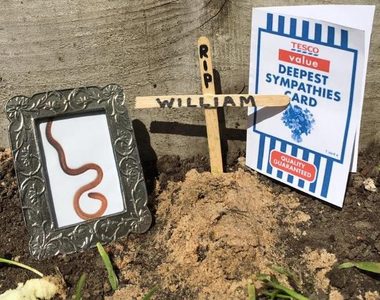 《RIP菜蟲》當Tesco客服專員開始浪費才華時...