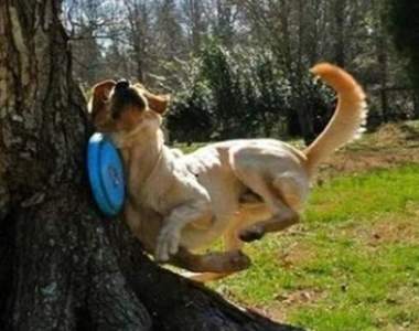 《意外發生的瞬間照》有些也可以說是捕捉到了感覺疼痛的前一秒XD