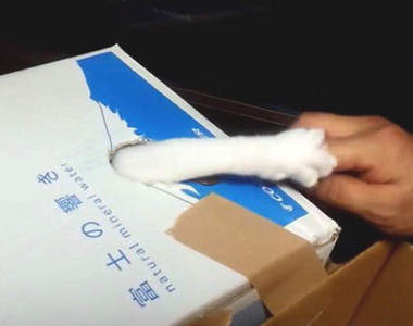 真實版《偷錢貓咪存錢筒》有了這個真心覺得這樣的遊戲會玩到上癮耶