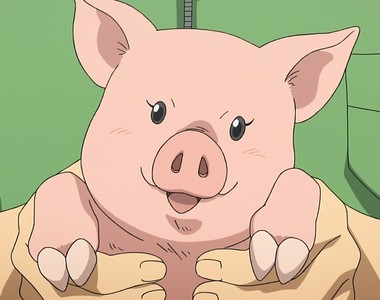 A&#39;s Wonderland《其貌不揚的恐怖獸人》一生其實充滿挫折…