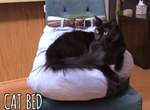 飼主自創貓用《大腿床》為了逃離聖上的魔爪什麼創意都會有XD 飼主自創貓用《大腿床》為了逃離聖上的魔爪什麼創意都會有XD