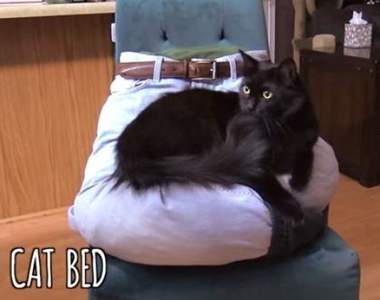 飼主自創貓用《大腿床》為了逃離聖上的魔爪什麼創意都會有XD