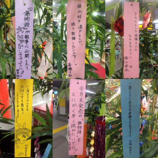 《神繪師的七夕願望》職人總是會追求更高的境界 - 圖片3 《神繪師的七夕願望》職人總是會追求更高的境界 - 圖片3