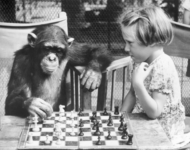 《地球上最聰明的6種動物》除了人類以外喔（敲頭）