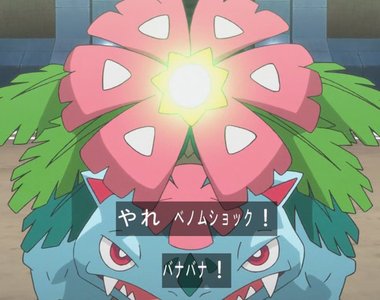 一定會看錯的《寶可夢妙蛙花冰袋》怎麼會長得這麼像……