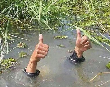 《腐女脫沼類型》不知不覺就脫坑(或常駐)了w