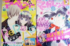 選出最高傑作《社會女性喜歡的少女漫畫》果然少女情懷總是詩啊 選出最高傑作《社會女性喜歡的少女漫畫》果然少女情懷總是詩啊