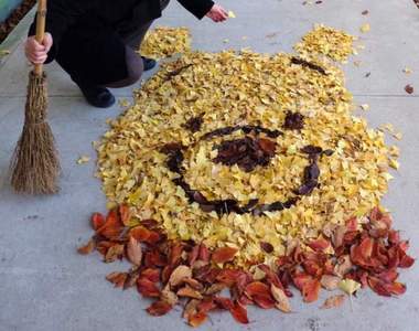 《有求必應的美術老師》落葉再現小熊維尼再次受到網友矚目❤