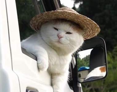 《都已經30歲了算大叔嗎》不知不覺自己來到這個年齡了啊O口O!