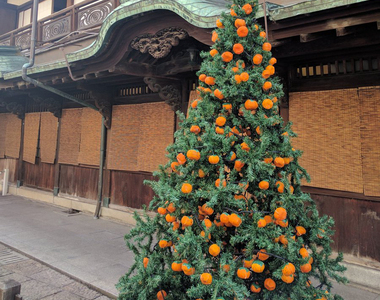 超狂氣《創意聖誕樹》這根本已經變成蜜柑樹惹吧www（摘）