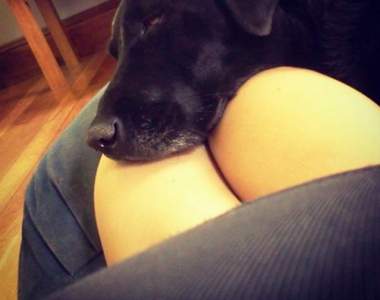 情色注意？《邪惡心靈大考驗》是我們不純真還是畫面太髒......