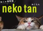《貓咪英文單字》就讓朕來教你們人類學英文吧(。・`ω´・)っ 《貓咪英文單字》就讓朕來教你們人類學英文吧(。・`ω´・)っ