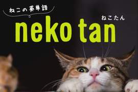 《貓咪英文單字》就讓朕來教你們人類學英文吧(。・`ω´・)っ 《貓咪英文單字》就讓朕來教你們人類學英文吧(。・`ω´・)っ