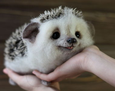 《手作動物羊毛氈》可愛中帶一點小逼真♥