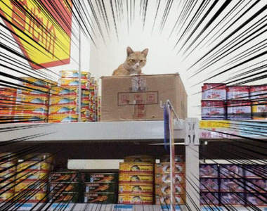 《在大陸生活的日本人》住了一段時間下來紀錄了非常多有趣的照片