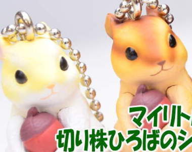 《悲劇的花栗鼠轉蛋》運氣衰到極點真的會想哭……