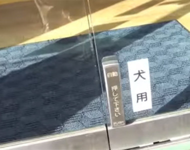 熊本縣《狗狗專用自動門按鈕》汪星人警衛會幫你開門哦~♥