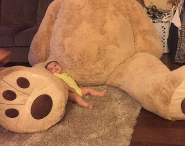 《孫女與她的巨大泰迪熊》外公的溫馨禮物讓網友瘋狂