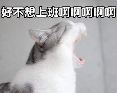 《星期一憂鬱》就交給貓咪來替你發聲吧 (OωOױ )